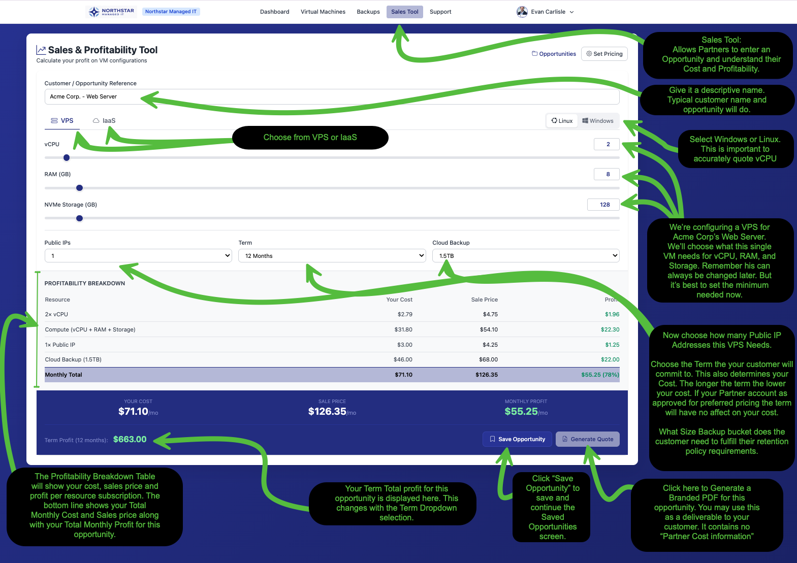 Sales and Profitability Tool showing VPS configuration with profitability breakdown