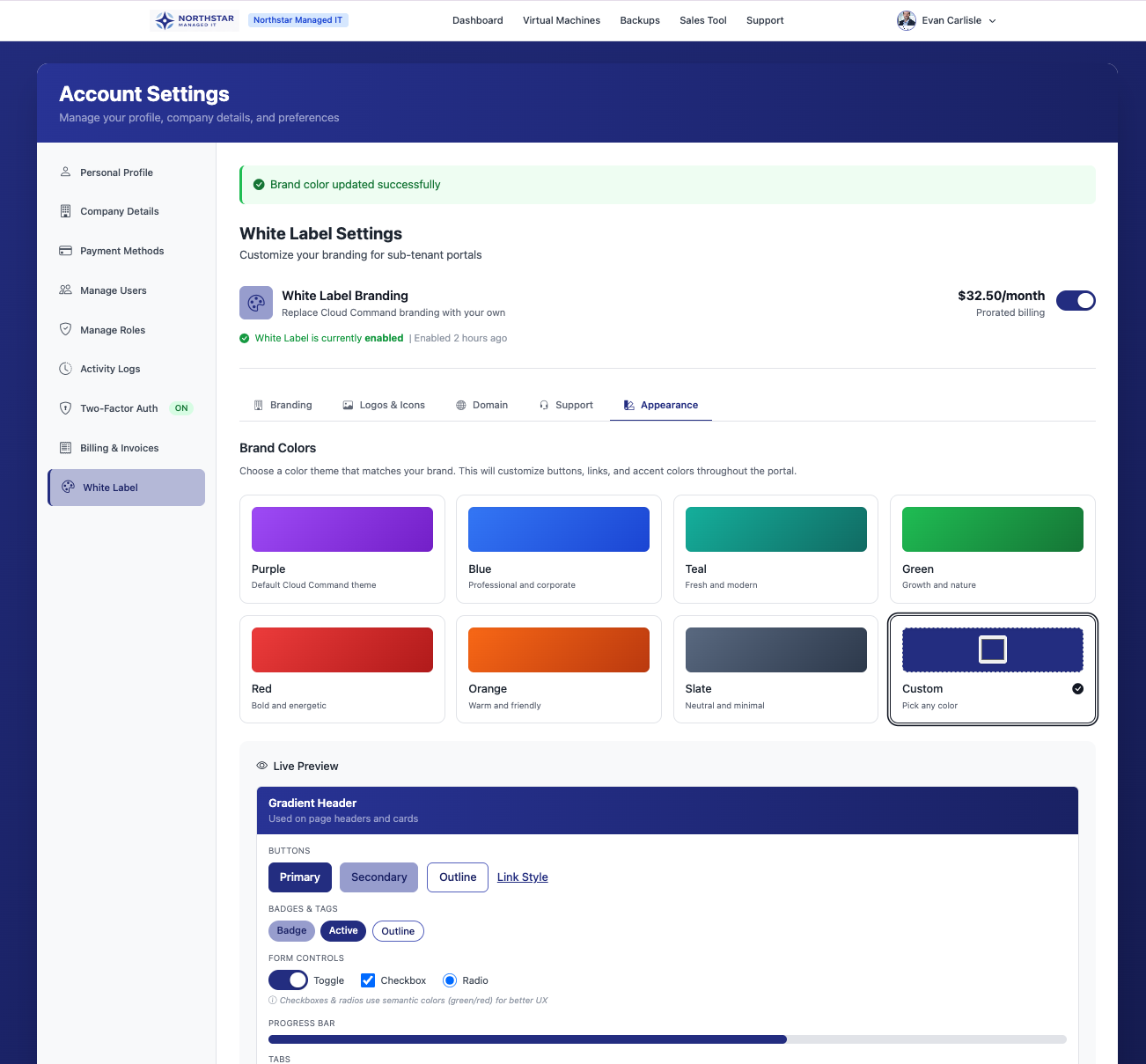Completed appearance setup showing custom color theme applied with brand color updated successfully confirmation