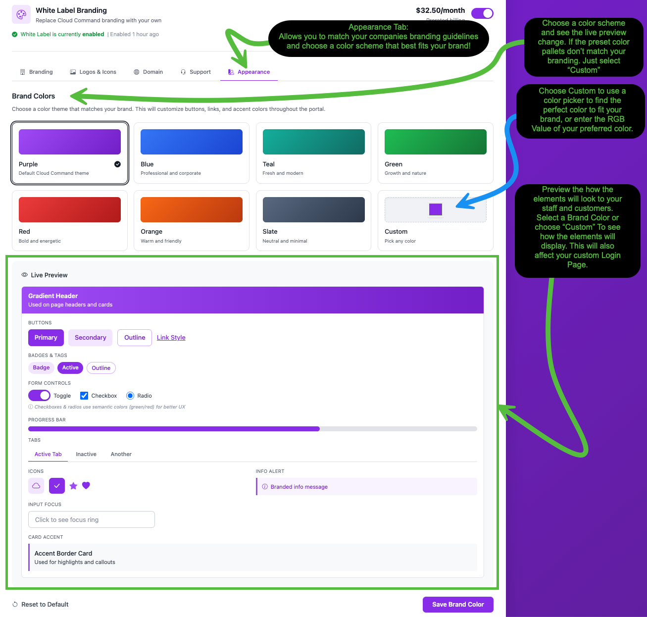 Appearance tab showing seven preset color themes, a custom color option, and a live preview of UI elements