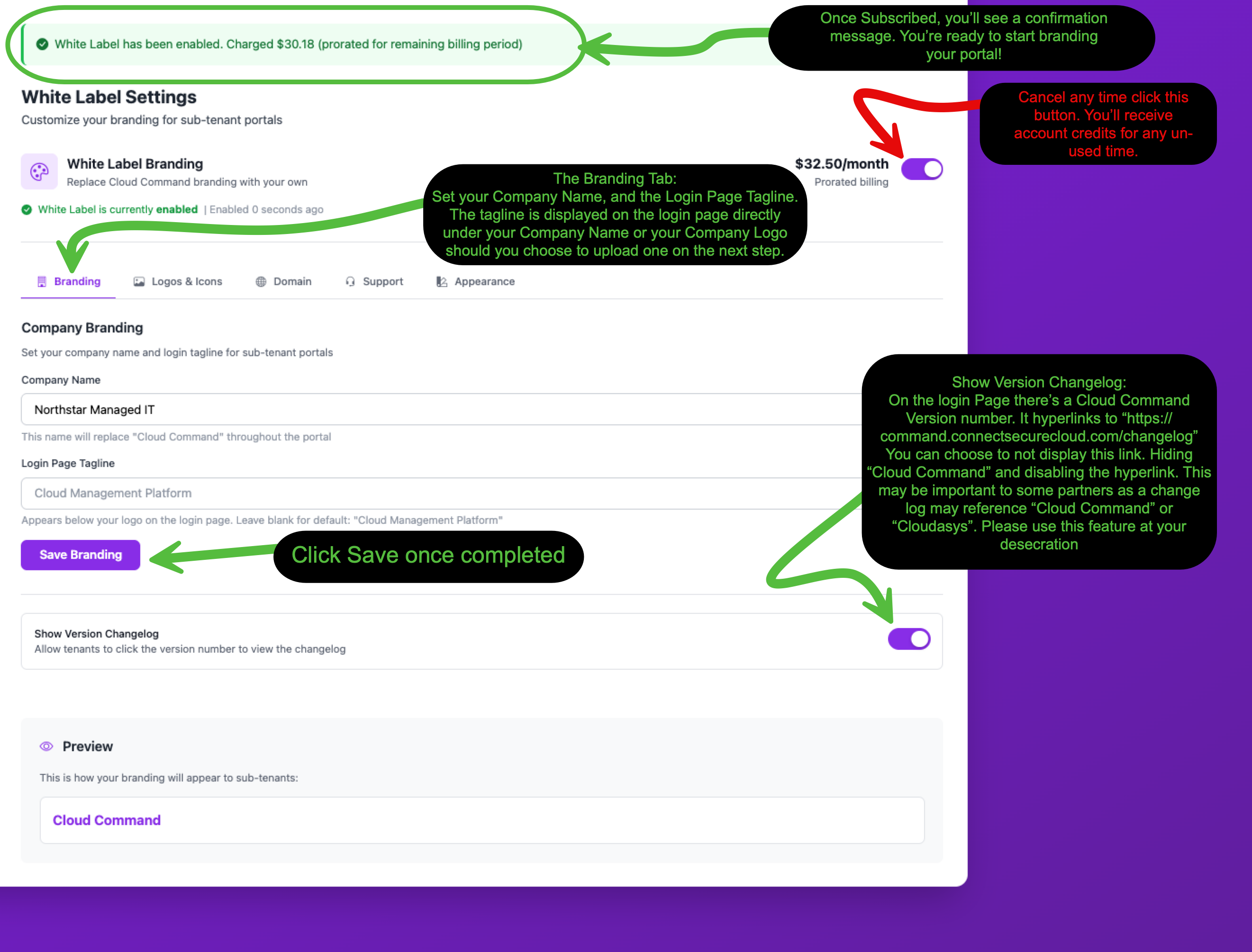 Branding tab showing Company Name field, Login Page Tagline field, Show Version Changelog toggle, and preview section