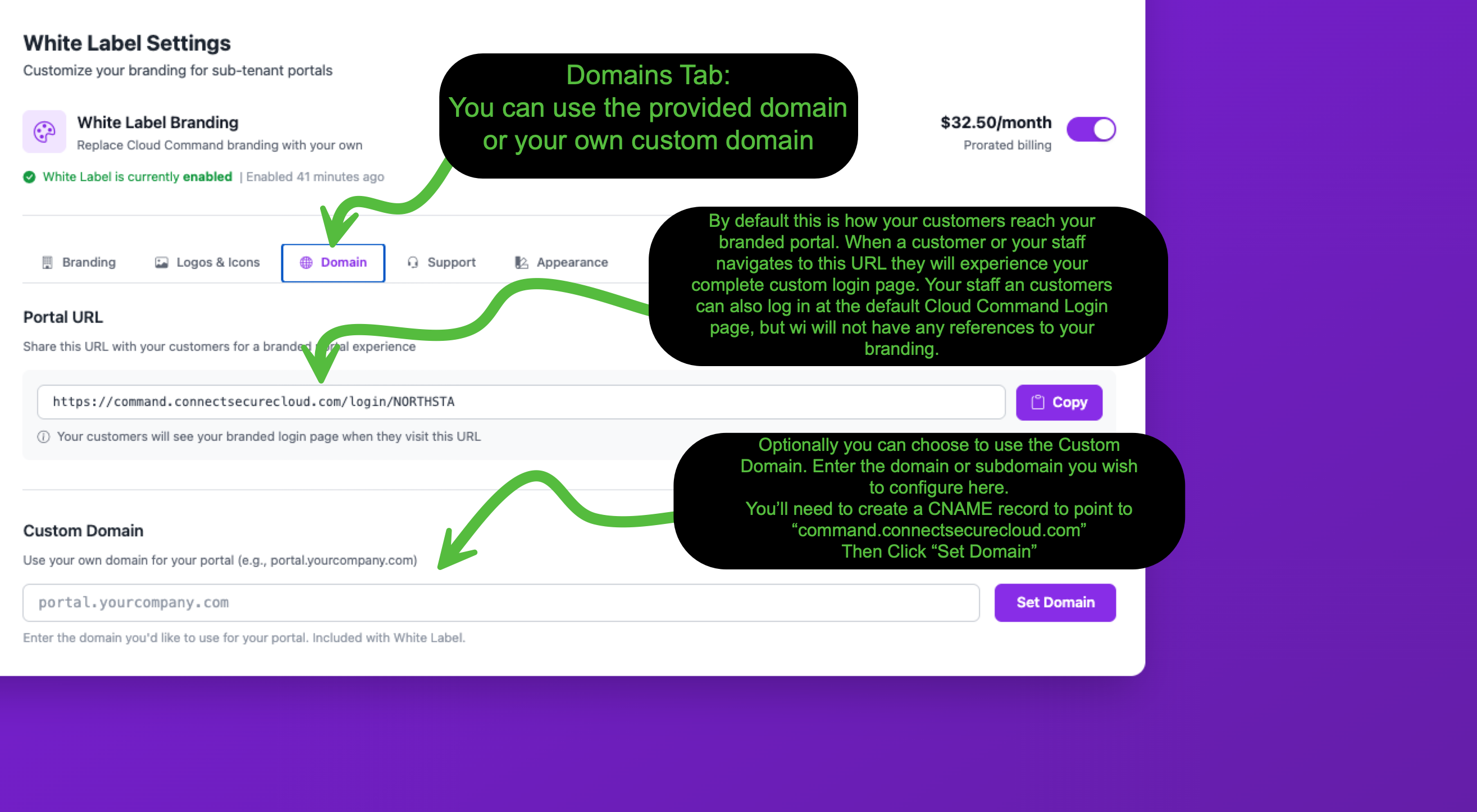 Domain tab showing the default Portal URL with copy button and Custom Domain setup section