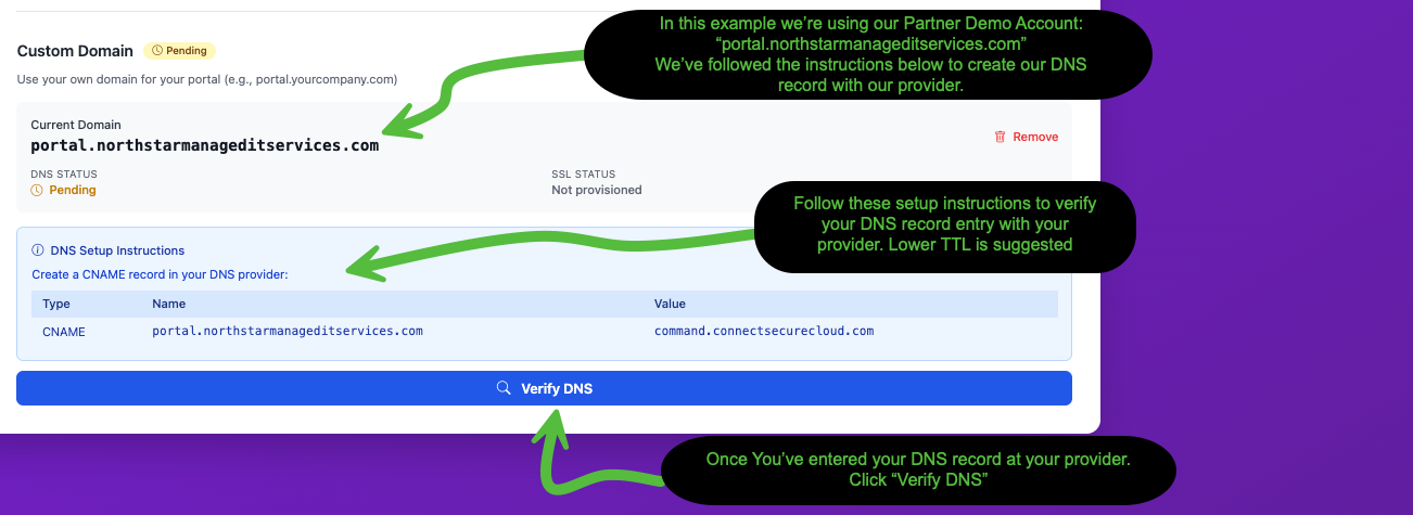Custom Domain section showing DNS Setup Instructions with CNAME details and Verify DNS button