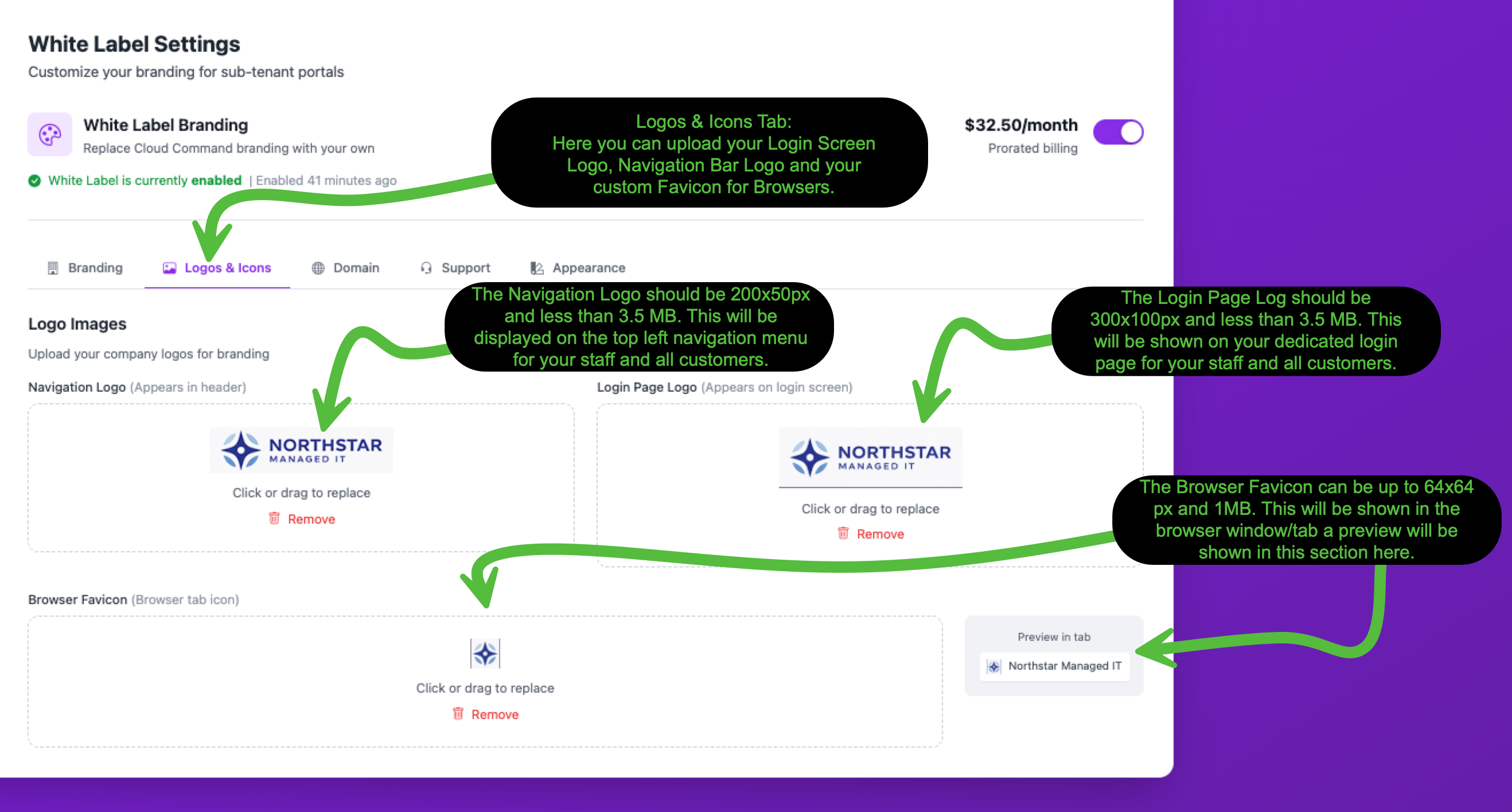 Logos and Icons tab showing upload areas for Navigation Logo, Login Page Logo, and Browser Favicon with size requirements